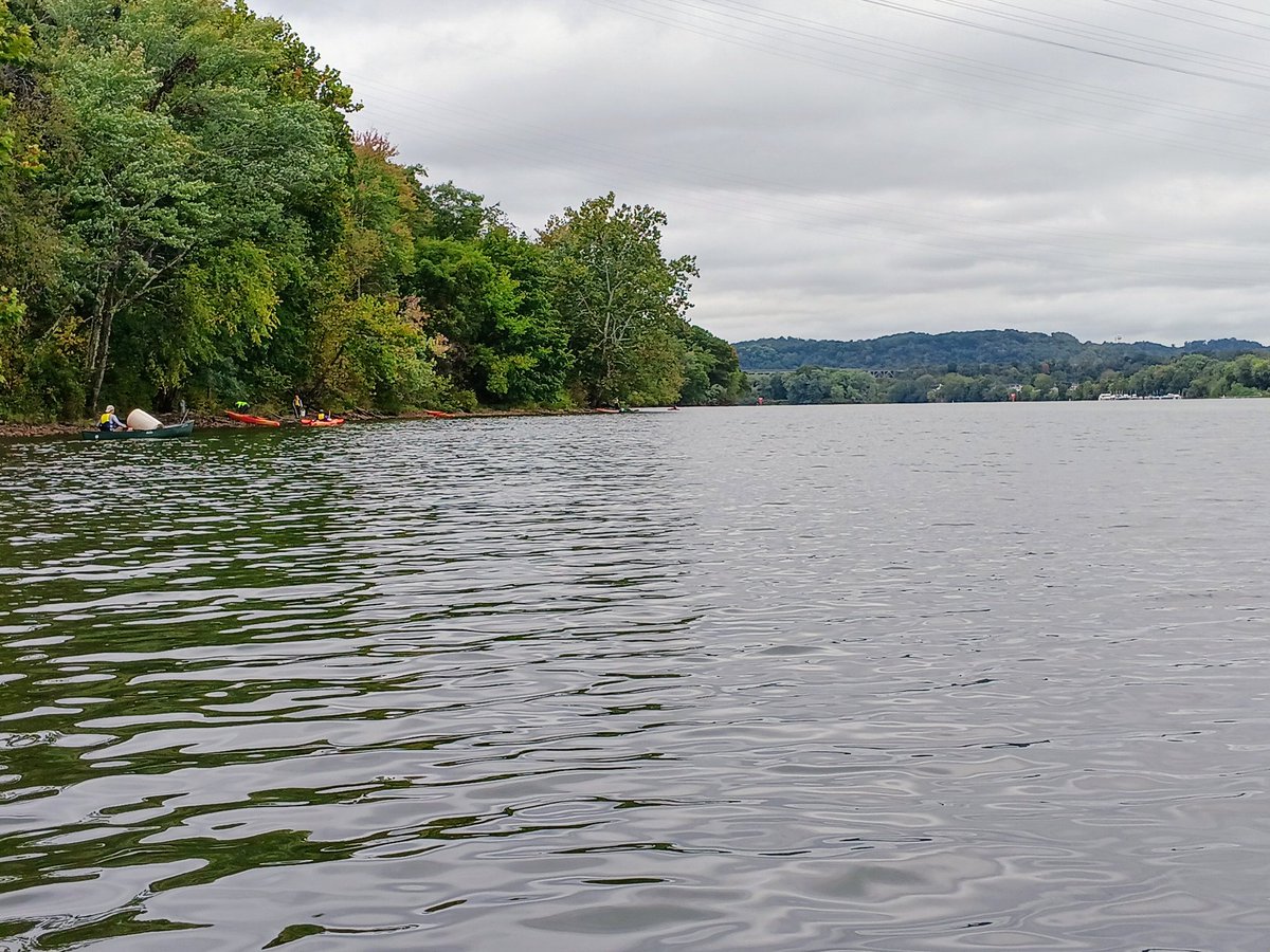 TommyPicsUpTrash tweet media