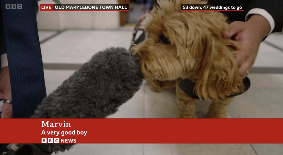 Scott Bryan tweet media