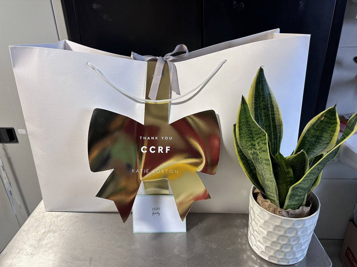 Nicolene Plaatjies tweet media