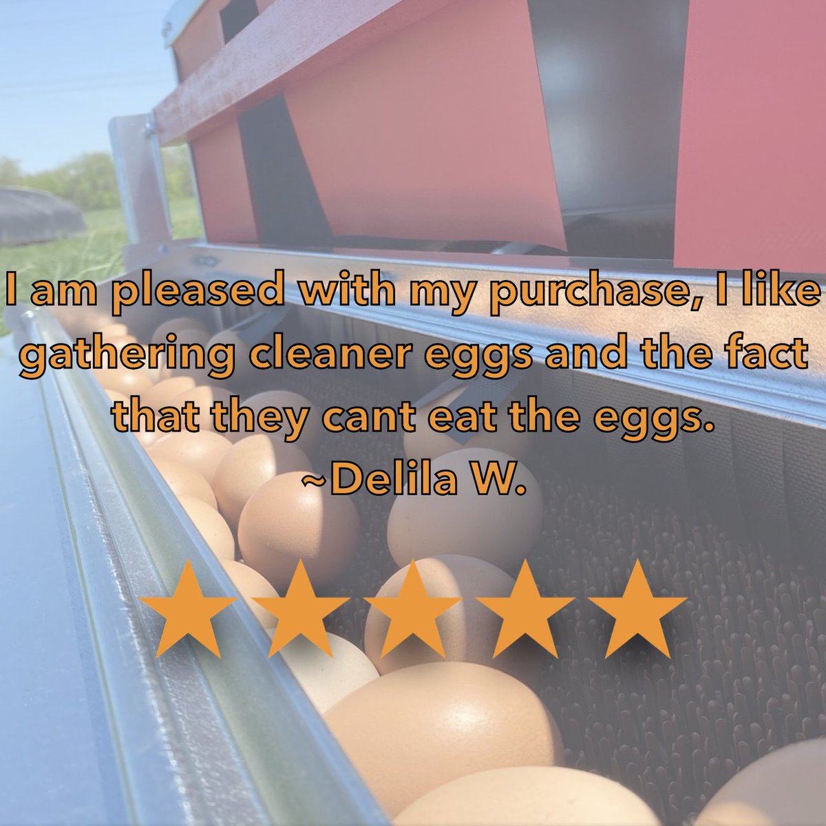 _HenGear_'s tweet photo. Learn More at https://t.co/6PfseQiz5Z!

#chickens #rolloutnestbox #backyardchickens #pasturepoultry #homesteading #regenerativefarming #chickencoop #chickennestbox #regenerativefarming #chickencoopdoor #portablechickencoop #chickentractor https://t.co/L47NA6w3tE