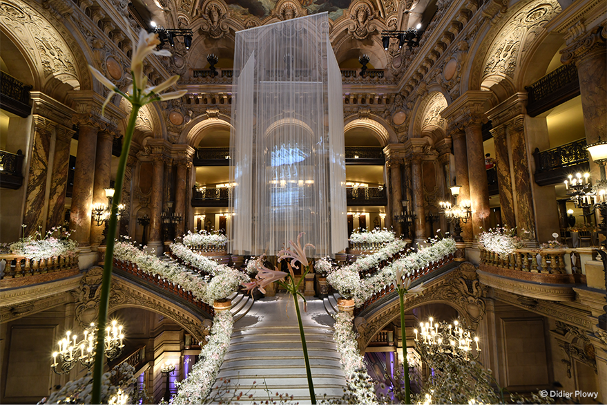 ✨ Le Gala d’ouverture de la saison de danse aura lieu ce soir au Palais Garnier, un moment fort pour l’institution !

🩰 Au programme : le Défilé du Ballet et les œuvres de William Forsythe, Johan Inger et My’Kal Stromile.

#GO2425