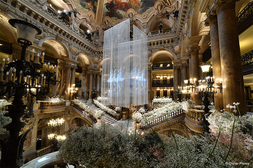 operadeparis's tweet photo. ✨ Le Gala d’ouverture de la saison de danse aura lieu ce soir au Palais Garnier, un moment fort pour l’institution !

🩰 Au programme : le Défilé du Ballet et les œuvres de William Forsythe, Johan Inger et My’Kal Stromile.

#GO2425 https://t.co/gy2oswxfgT