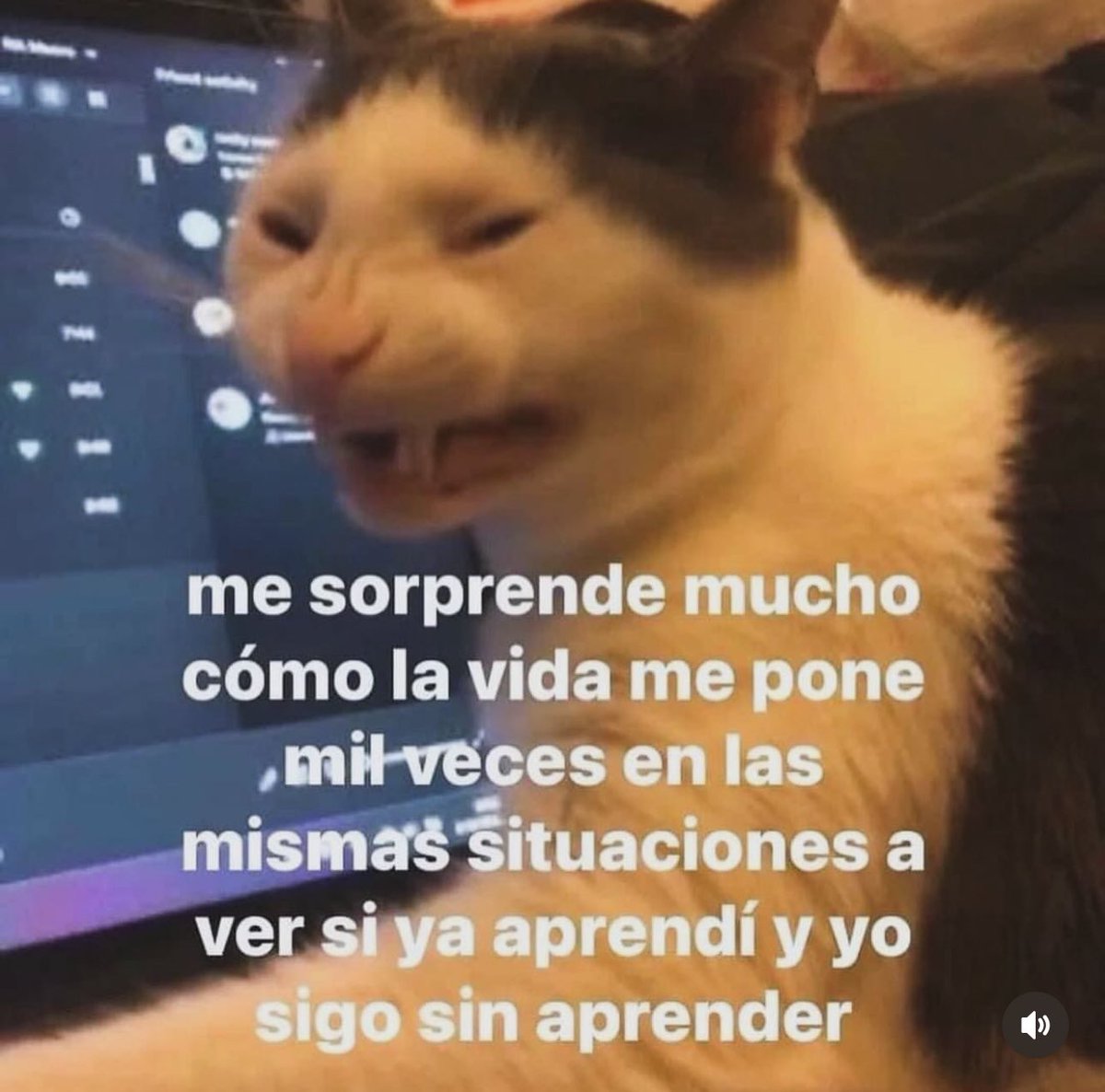 soyMargarlto's tweet photo. Jajaja si soy https://t.co/kOIJ7l5lq7