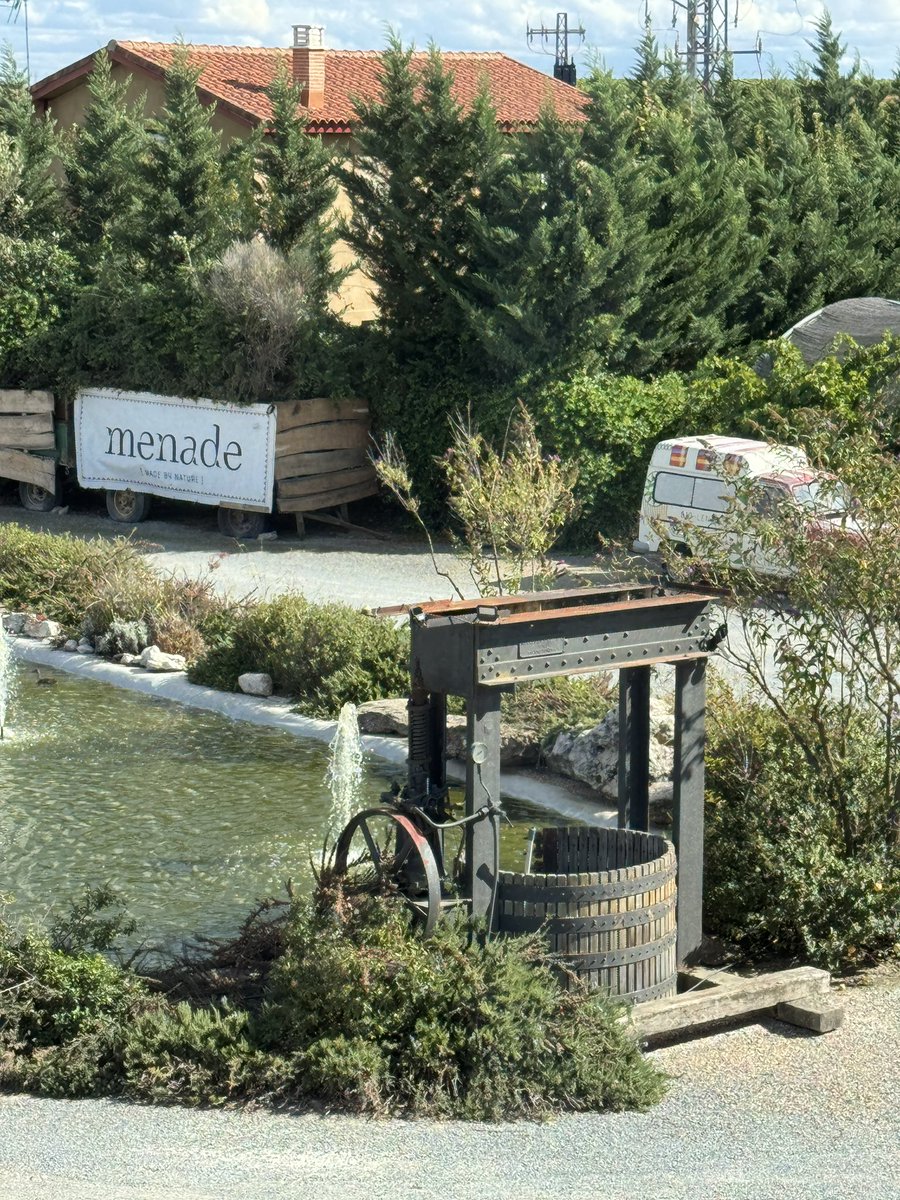 LaCocinaDelSur's tweet photo. Enamorados de @BodegasMenade
y Castilla y León
#BodegasMenade #madebynature #organicwines #organicfarming #naturalwines #enoturismo #turismo #organicwines #cyl #yeast #vinoinfluencers https://t.co/wPwYcxvEXQ