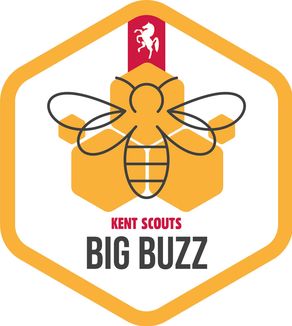 Kent Cub Scouts tweet media