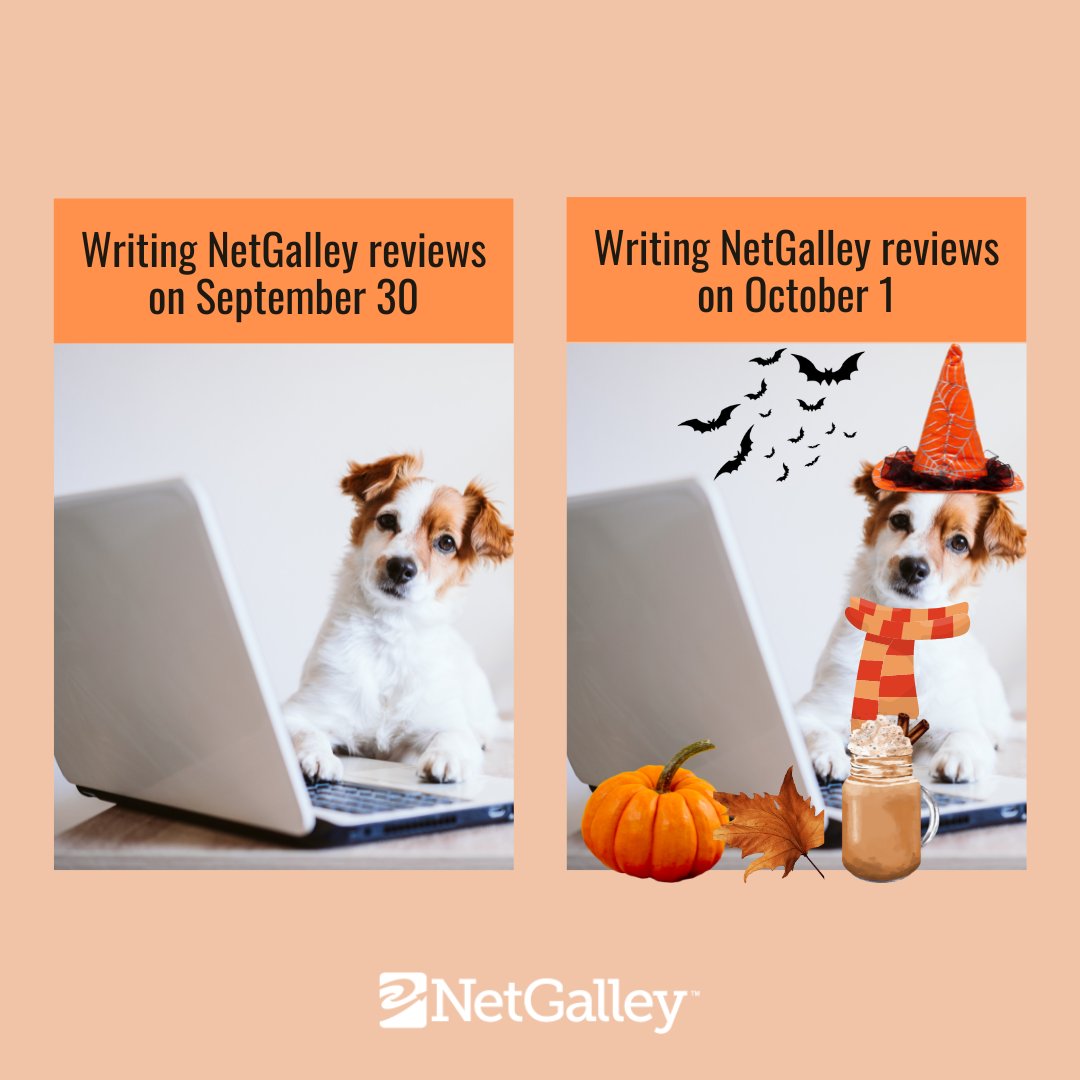NetGalley tweet media
