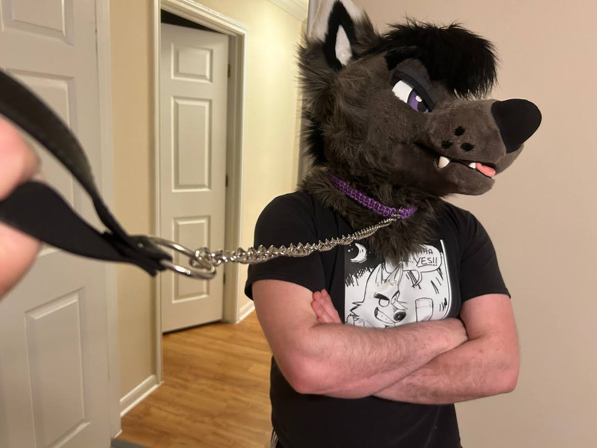 Wuffydave tweet media