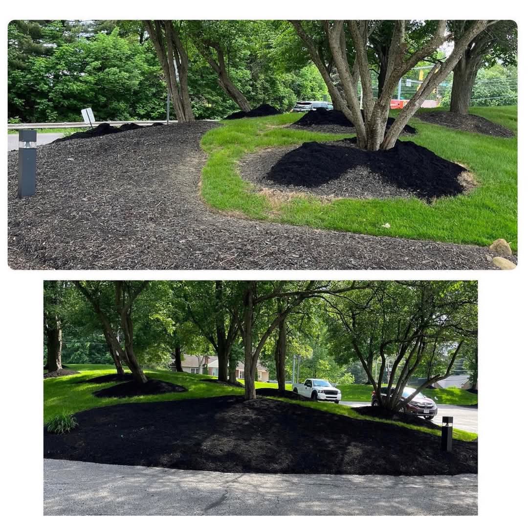 kevingoodmanBBN's tweet photo. My sons landscaping company does a commercial property work aside from residential #landscaping littercontrol asphaltpatching powerwashing &amp; brush clearing #fallcleanup #mulching #fallleafcleanup Call Dannyc 4 a free review &amp; estimate 216.440.5449
DG Picture Perfect Landscaping https://t.co/Iel8NtrKTL