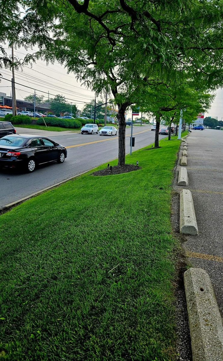 kevingoodmanBBN's tweet photo. My sons landscaping company does a commercial property work aside from residential #landscaping littercontrol asphaltpatching powerwashing &amp; brush clearing #fallcleanup #mulching #fallleafcleanup Call Dannyc 4 a free review &amp; estimate 216.440.5449
DG Picture Perfect Landscaping https://t.co/Iel8NtrKTL