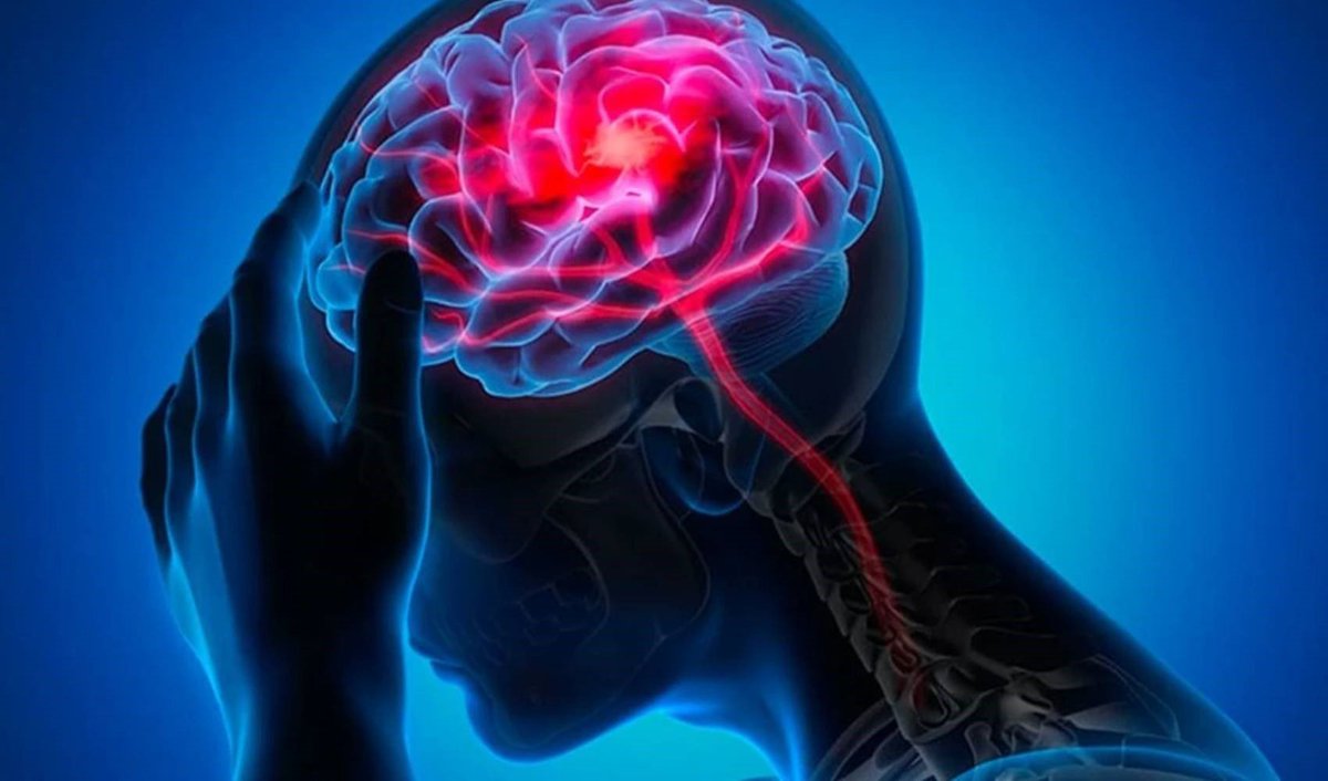 siradisi_bilim's tweet photo. Bilim insanları açıkladı:

‘Erkeklerin beyni her gün saat 20.00'de küçülüyor'.

(The Journal Neuroscience) https://t.co/RTru6K01qU