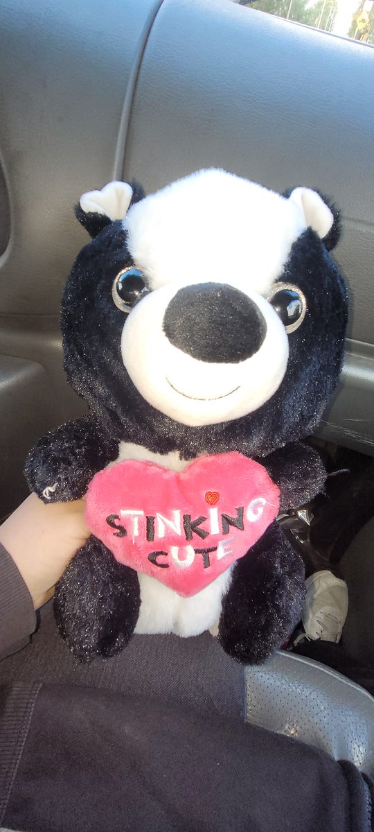 I finally got a skunk stuffie!!! SQUEEEEEEEEEE! I love skunks!