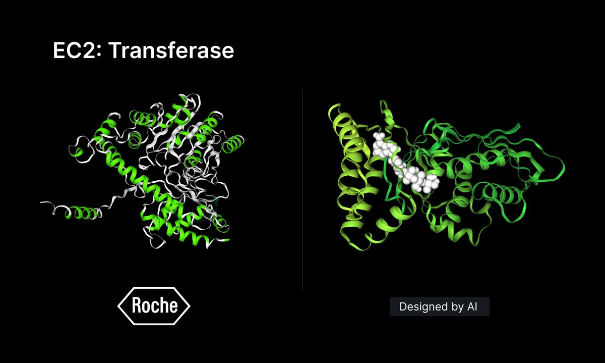310ai__'s tweet photo. Over 6,500 enzymes - including 725 novel proteins - discovered by MP4, an AI Text2Enzyme molecule programming model. Is the future of the enzyme industry here?

Full story: https://t.co/DTe1NCRqO1 https://t.co/LrVhHQnoyd