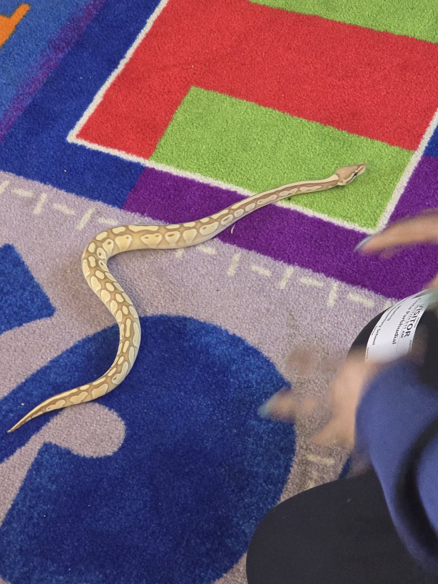 Visitor in the Library!! So fun to learn about something new! @hamilton_howler