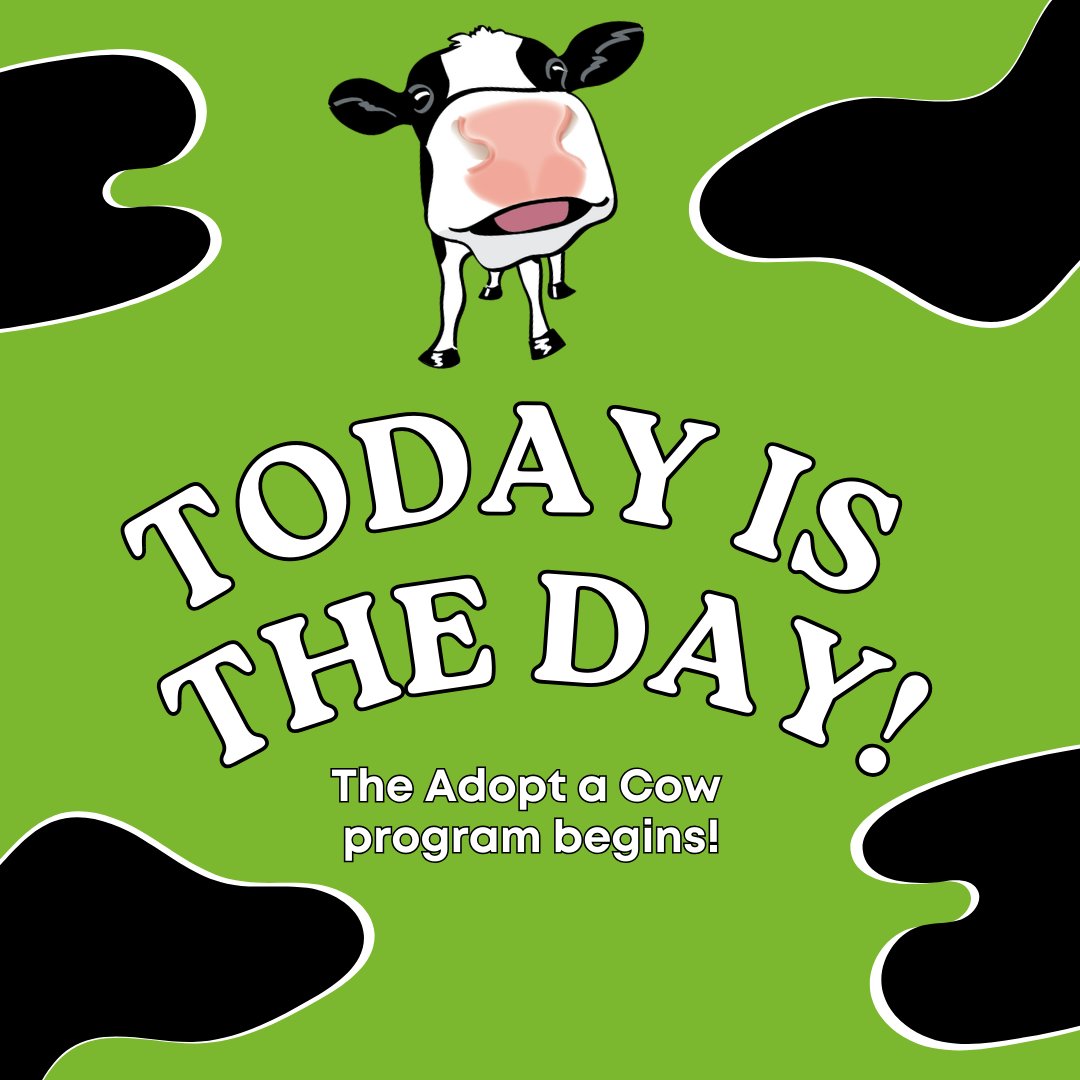 Discover Dairy (@discover_dairy) / Posts / X