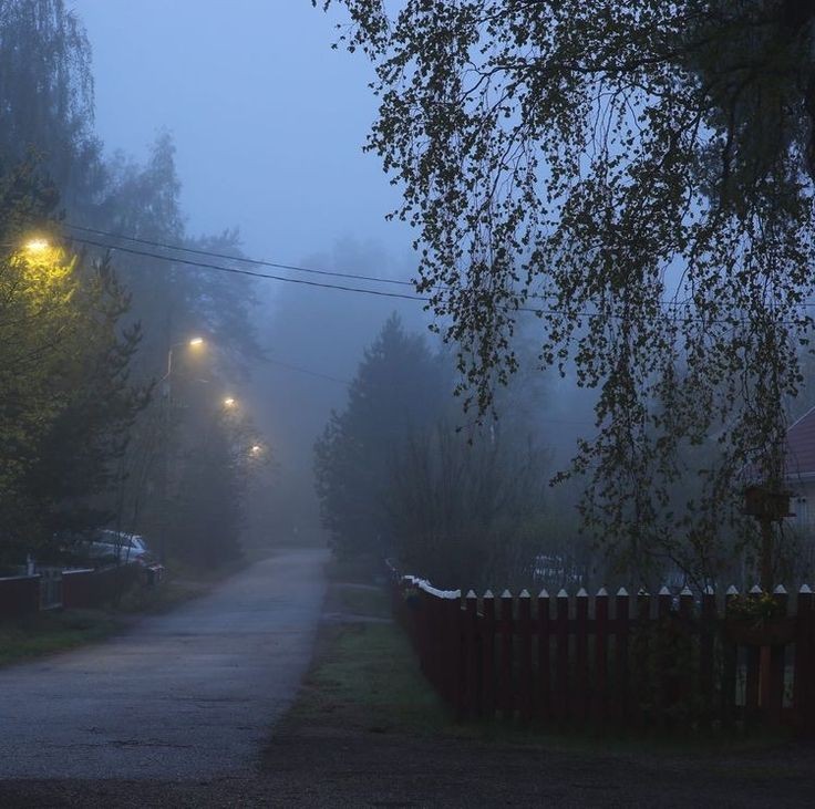 stickydacat's tweet photo. I LOVE FOGGY AUTUMN NIGHTS !!!!!!! https://t.co/v5ThIcQwcs