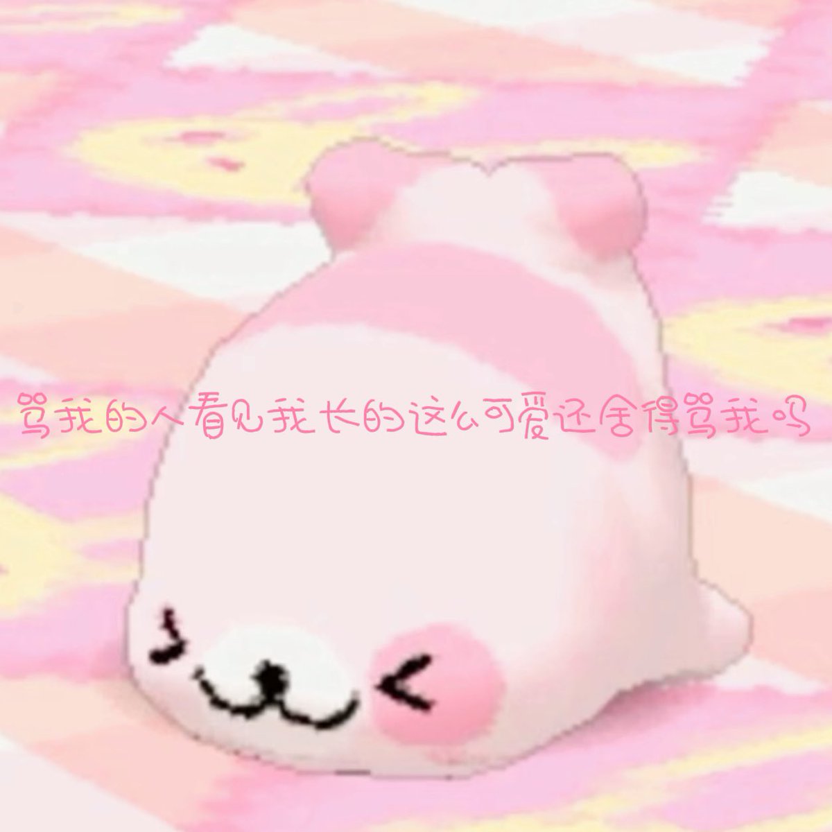 NingOxU's tweet photo. 还有人舍得骂我吗？ https://t.co/3zPhqmQh5R