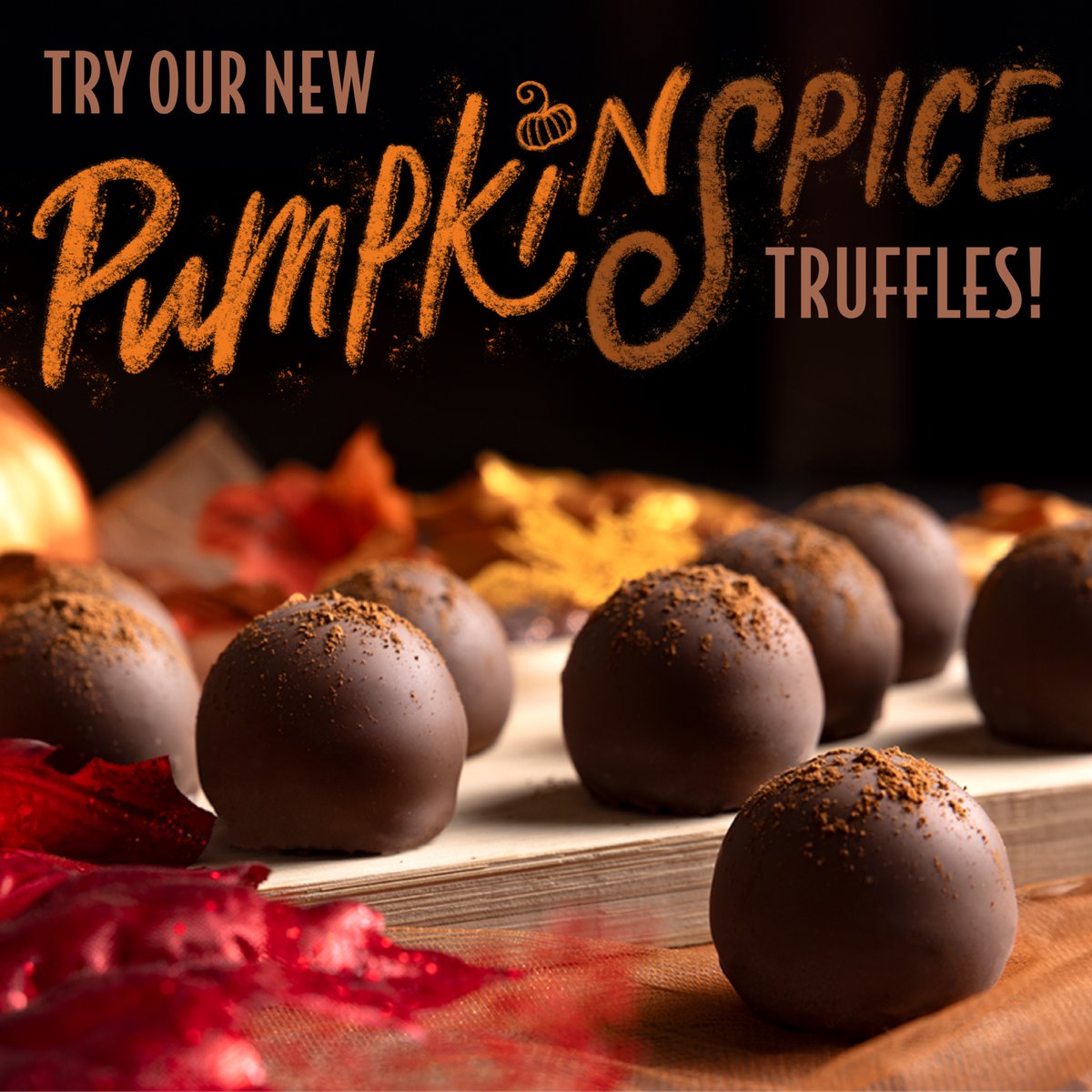 Did you know it's "National Pumpkin Spice Day"? Try our NEW Pumpkin Spice Truffles at your local Rocky Mountain Chocolate Factory! 🎃🍫
#PumpkinSpice #October
