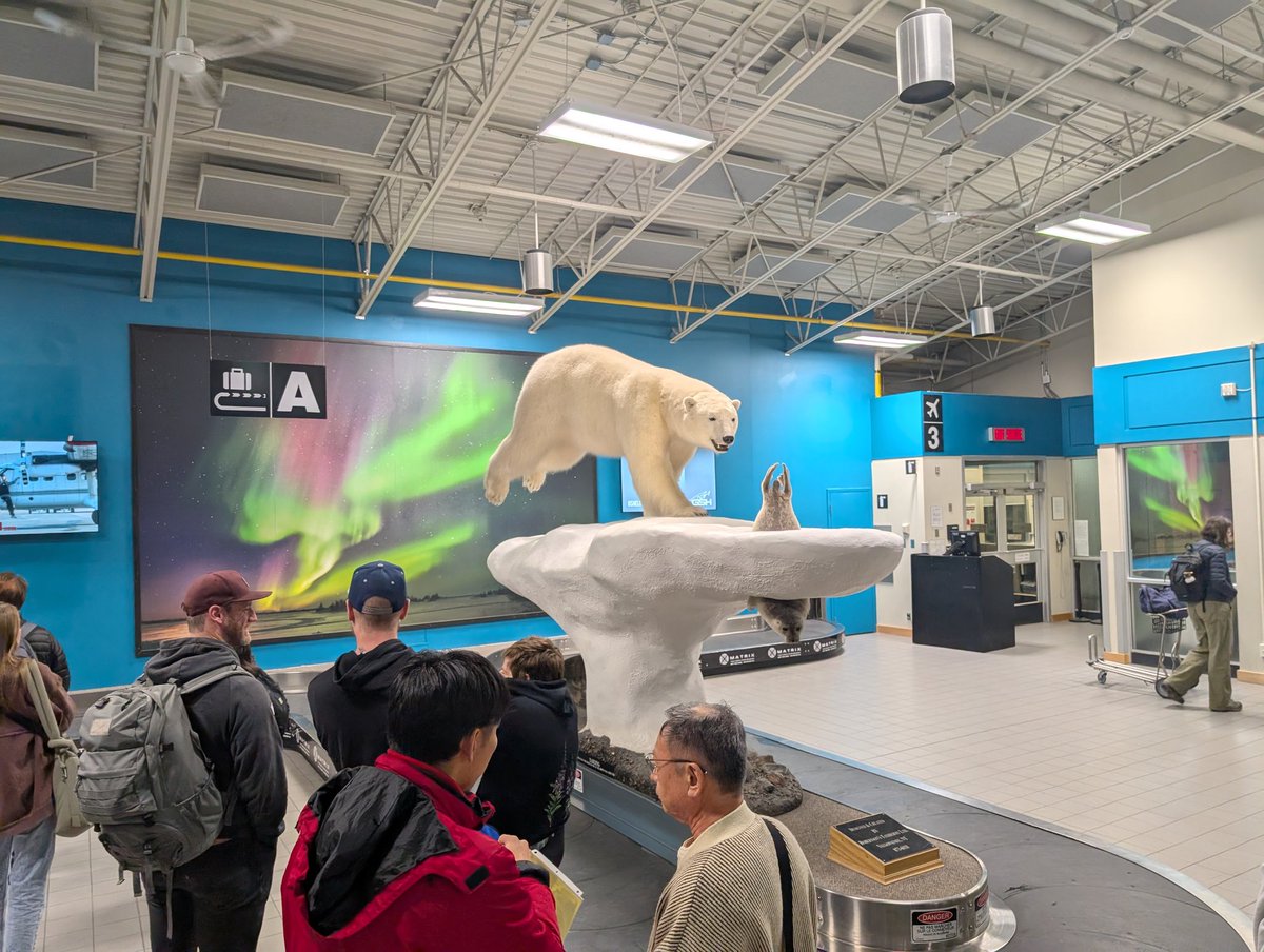 donnie piercey ⚾ tweet media