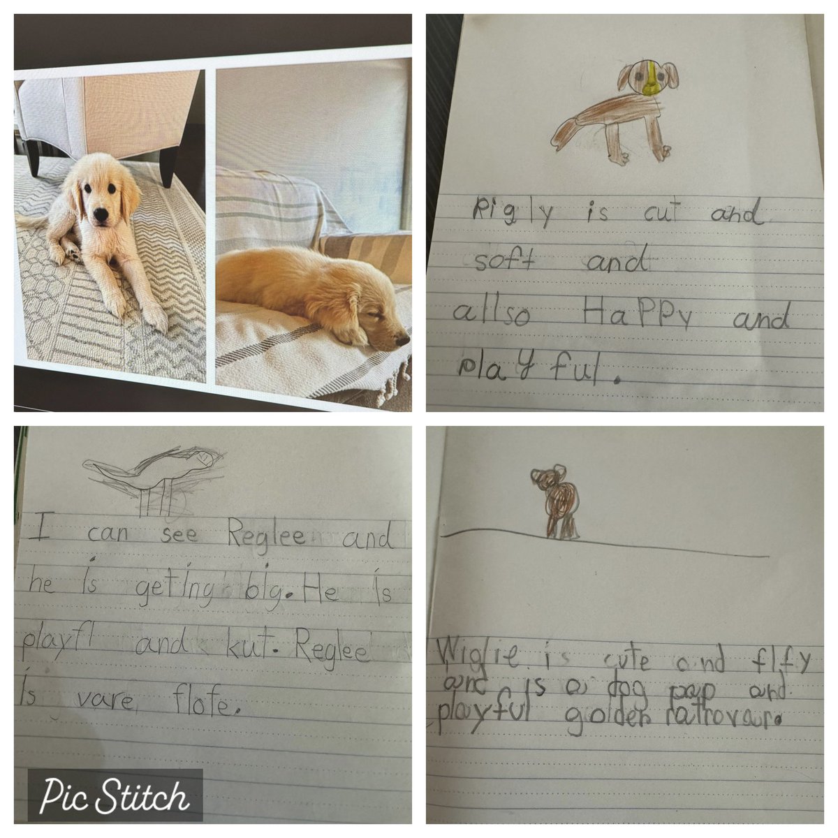 Mrs. Ryan tweet media