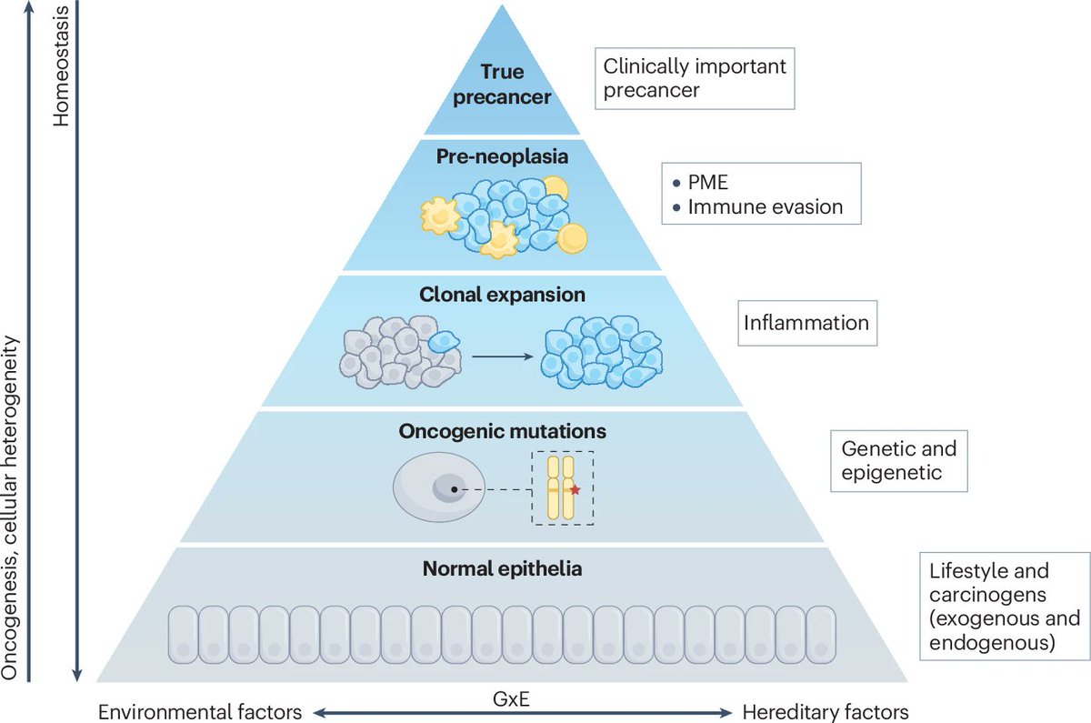 Anirban Maitra (@aiims1742) on Twitter photo New #OpenAccess perspective in <a href="/NatureRevCancer/">Nature Reviews Cancer</a>
Defining precancer: a grand challenge for the cancer community
nature.com/articles/s4156…
A white paper resulting from @NCIprevention Precancer Think Tank.
<a href="/sadhu1012/">drsrivastava</a> <a href="/IrenemGhobrial/">Irene Ghobrial</a> <a href="/TimRebbeck/">Tim Rebbeck</a> <a href="/AndyChanMD/">Andy Chan</a> New #OpenAccess perspective in <a href="/NatureRevCancer/">Nature Reviews Cancer</a>
Defining precancer: a grand challenge for the cancer community
nature.com/articles/s4156…
A white paper resulting from @NCIprevention Precancer Think Tank.
<a href="/sadhu1012/">drsrivastava</a> <a href="/IrenemGhobrial/">Irene Ghobrial</a> <a href="/TimRebbeck/">Tim Rebbeck</a> <a href="/AndyChanMD/">Andy Chan</a>