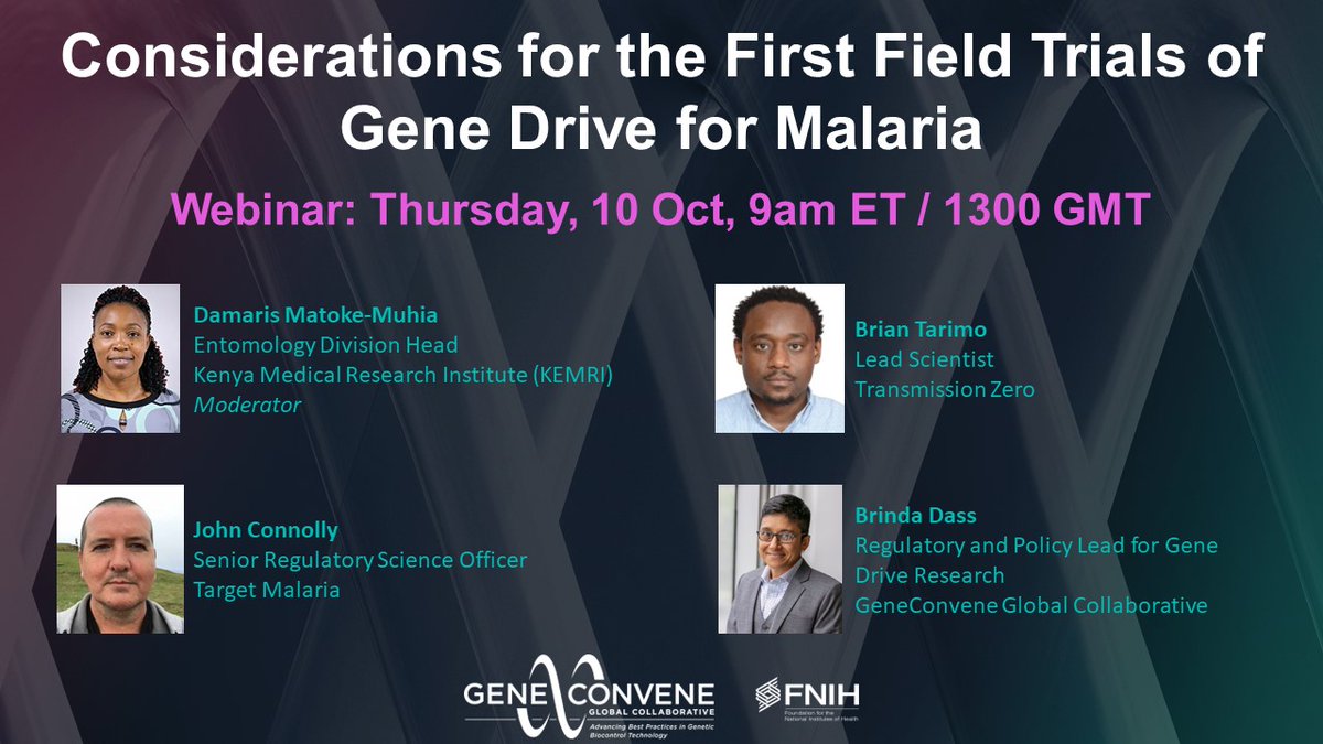 Webinar on Considerations for the First Field Trials of Gene Drive for Malaria
Thursday, 10 Oct, 9am ET / 1300 GMT

Please join us for a webinar to hear about the insights from a working group on considerations for the first field trials of gene drive for malaria, the current
