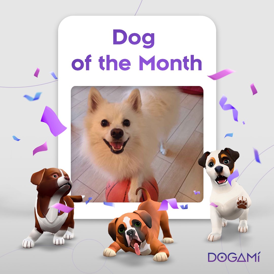 🏆 Dog of the Month 🏆 

Meet Rio, our Dog of the Month! 🎓

With that ball, Rio's ready for some serious balance training! 🏀

Enjoy your Alpha Dogamí &amp; Academy Pack mat_mat9543! 

Think your pup has what it takes? Join us! 🐾
👉 discord.com/channels/86774…