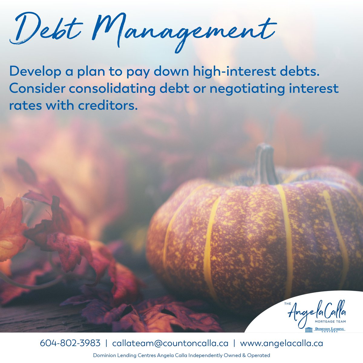 Angela Calla, AMP tweet media