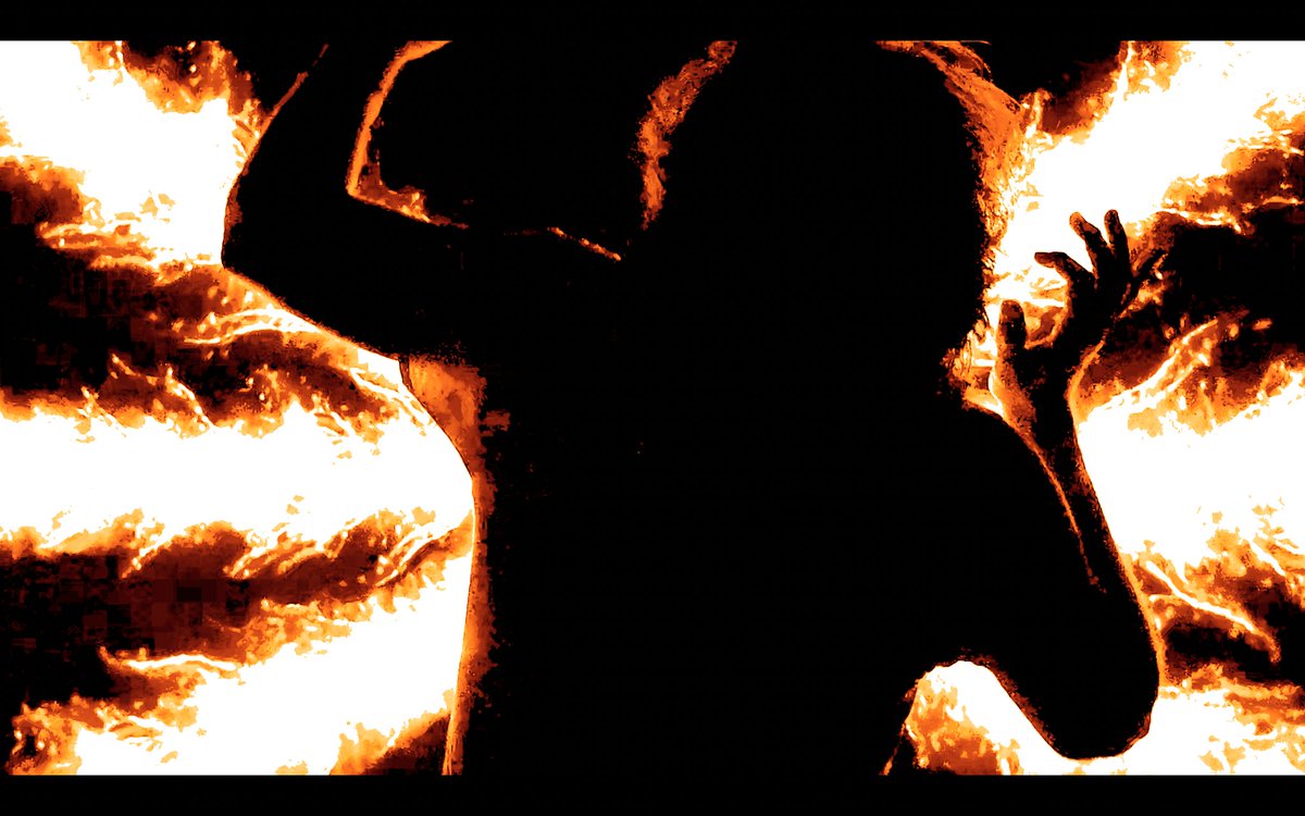 🦩afk🦩 tweet media