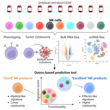 Waggoner Lab (@labwaggoner) on Twitter photo Bulk and single-cell transcriptomics identify gene signatures of stem cell-derived NK cell donors with superior cytolytic activity <a href="/MolTherapy/">Molecular Therapy</a>
doi.org/10.1016/j.omto… Bulk and single-cell transcriptomics identify gene signatures of stem cell-derived NK cell donors with superior cytolytic activity <a href="/MolTherapy/">Molecular Therapy</a>
doi.org/10.1016/j.omto…
