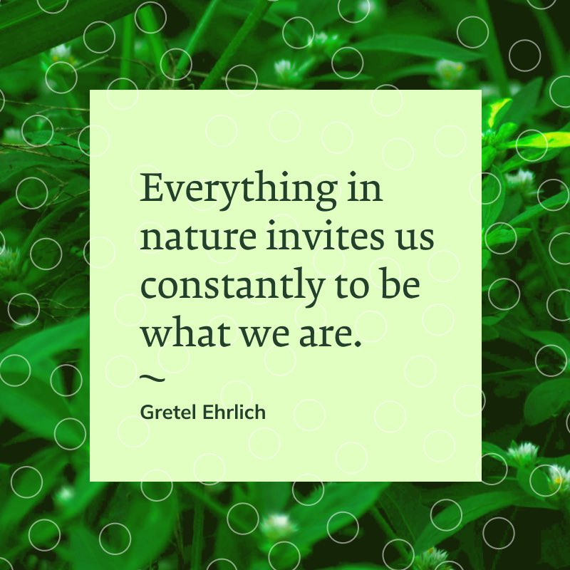 Arthur J. Rutledge tweet media