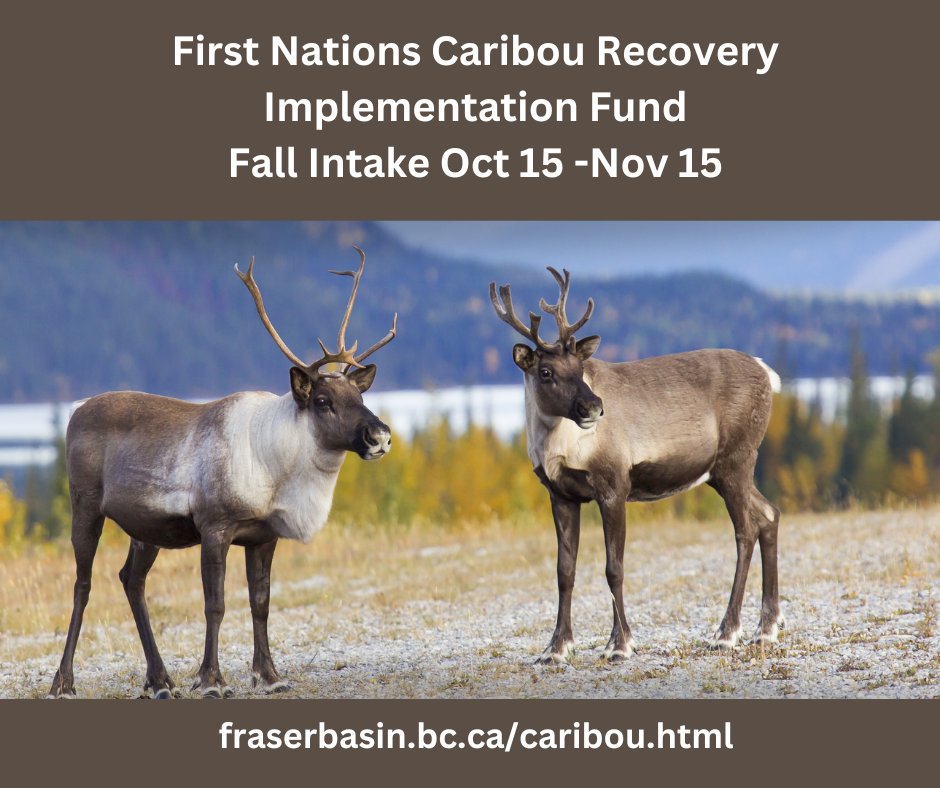 A call for proposals to the First Nations Caribou Recovery Implementation Fund, a program to support BC First Nations’ implementation of caribou recovery projects will open October 15. Learn more: fraserbasin.bc.ca/Caribou.html