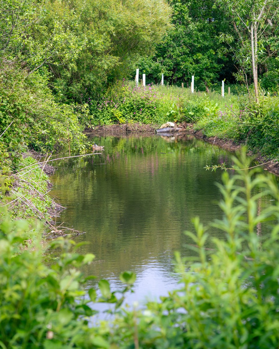 Cornish Orchards tweet media