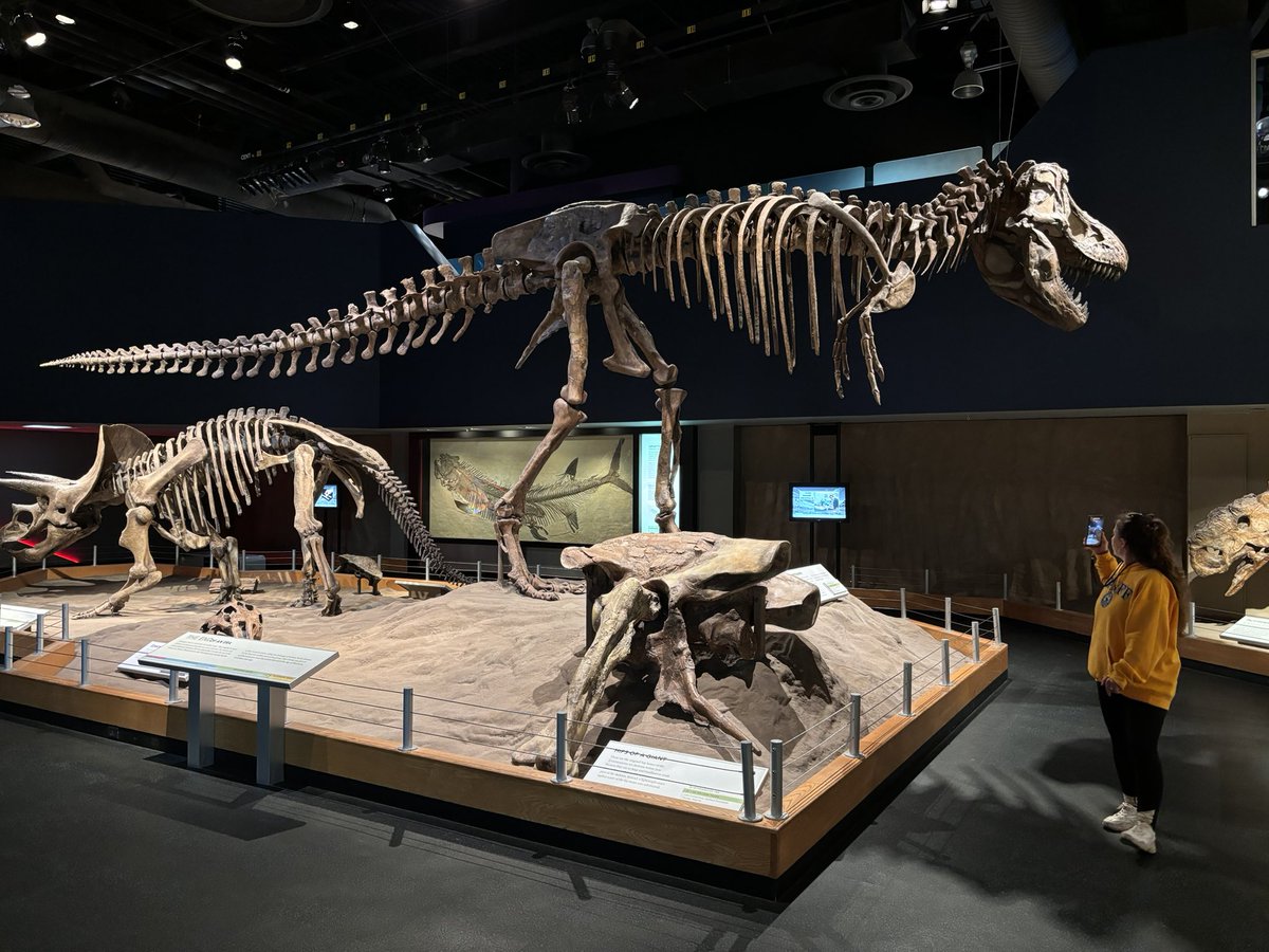 Henry Lee tweet media