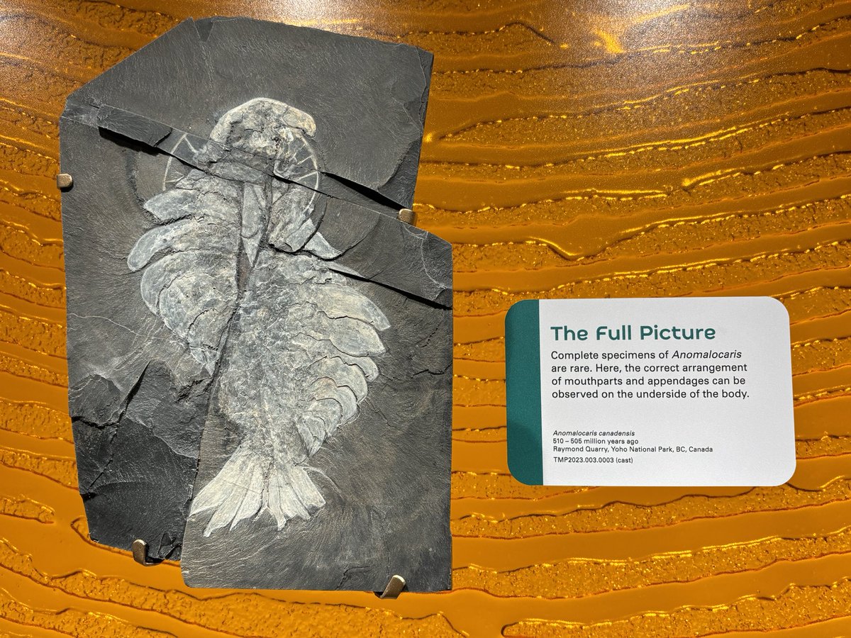 Henry Lee tweet media