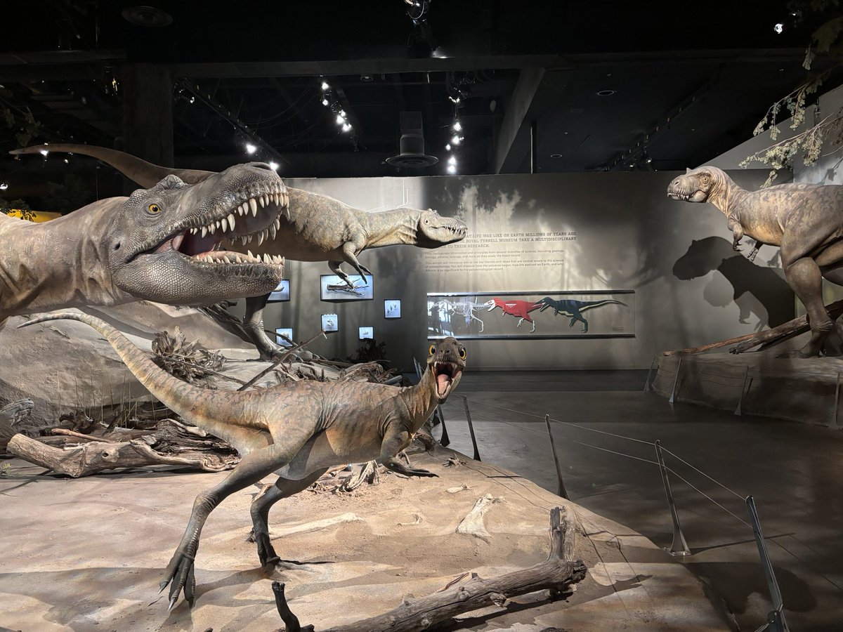 Henry Lee tweet media