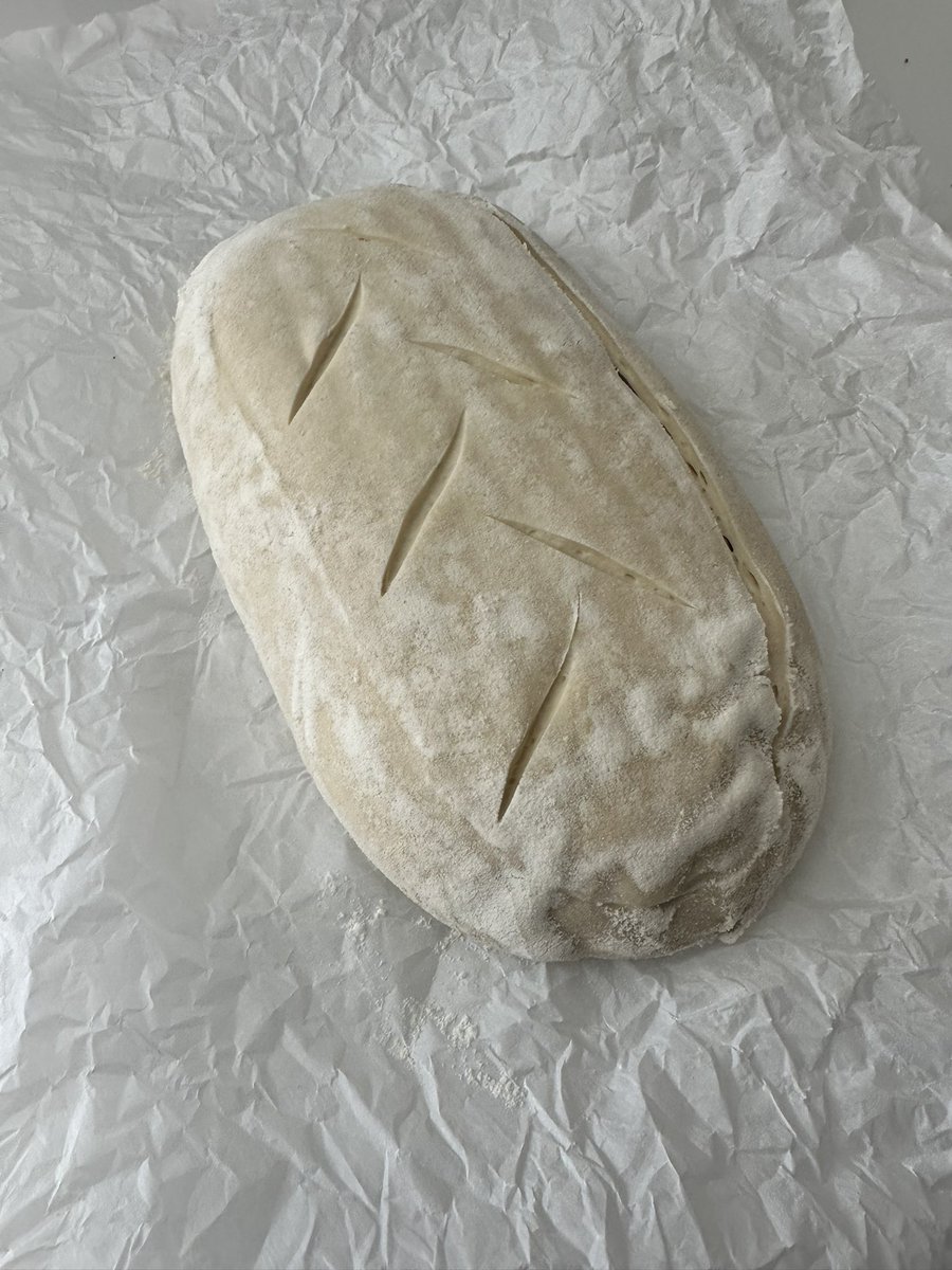 BonsaiBride's tweet image. And the sourdough saga continues…