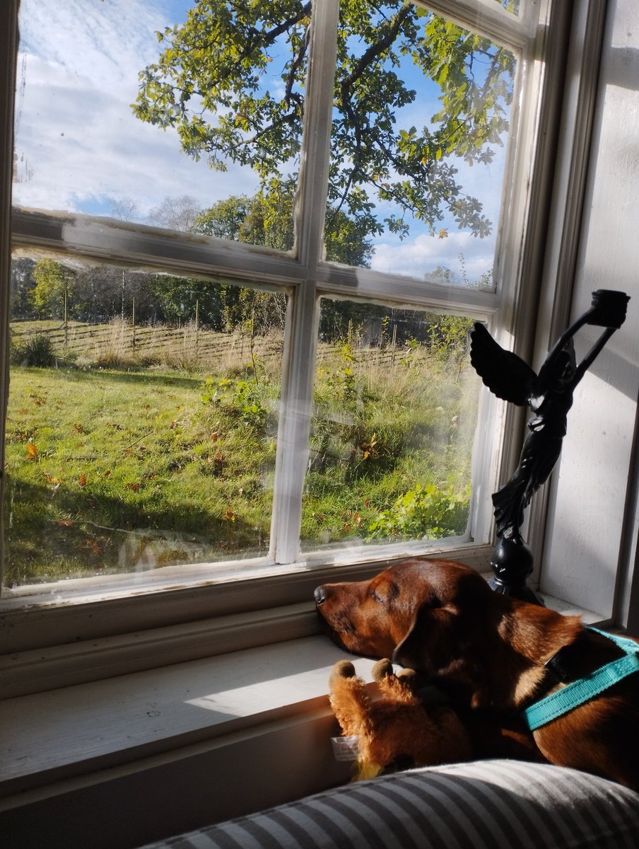 Frajd & fröjd™ tweet media