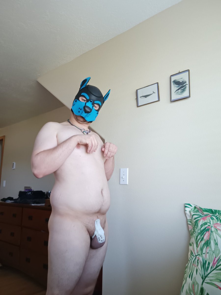 Pup Riley tweet media