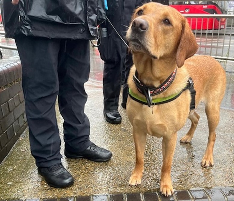 Waltham Forest MPS | North East BCU tweet media