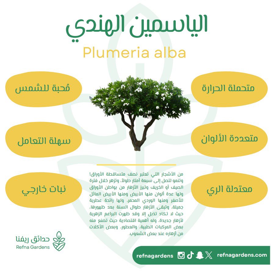 حدائق ريفنا tweet media
