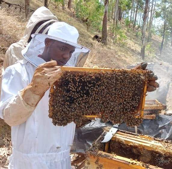 jadohkwizera's tweet photo. Attn! Beekeeping in spring season
1. Cover your hives like they're going on a ski trip
2. Keep flowers in mindโplant now for spring's buzz
3. Reserve some honey for your bees.
5. Check in regularly, no โghostingโ your bees
#SpringBeeCare #ApiaryTips https://t.co/w9Qs2H0jf5