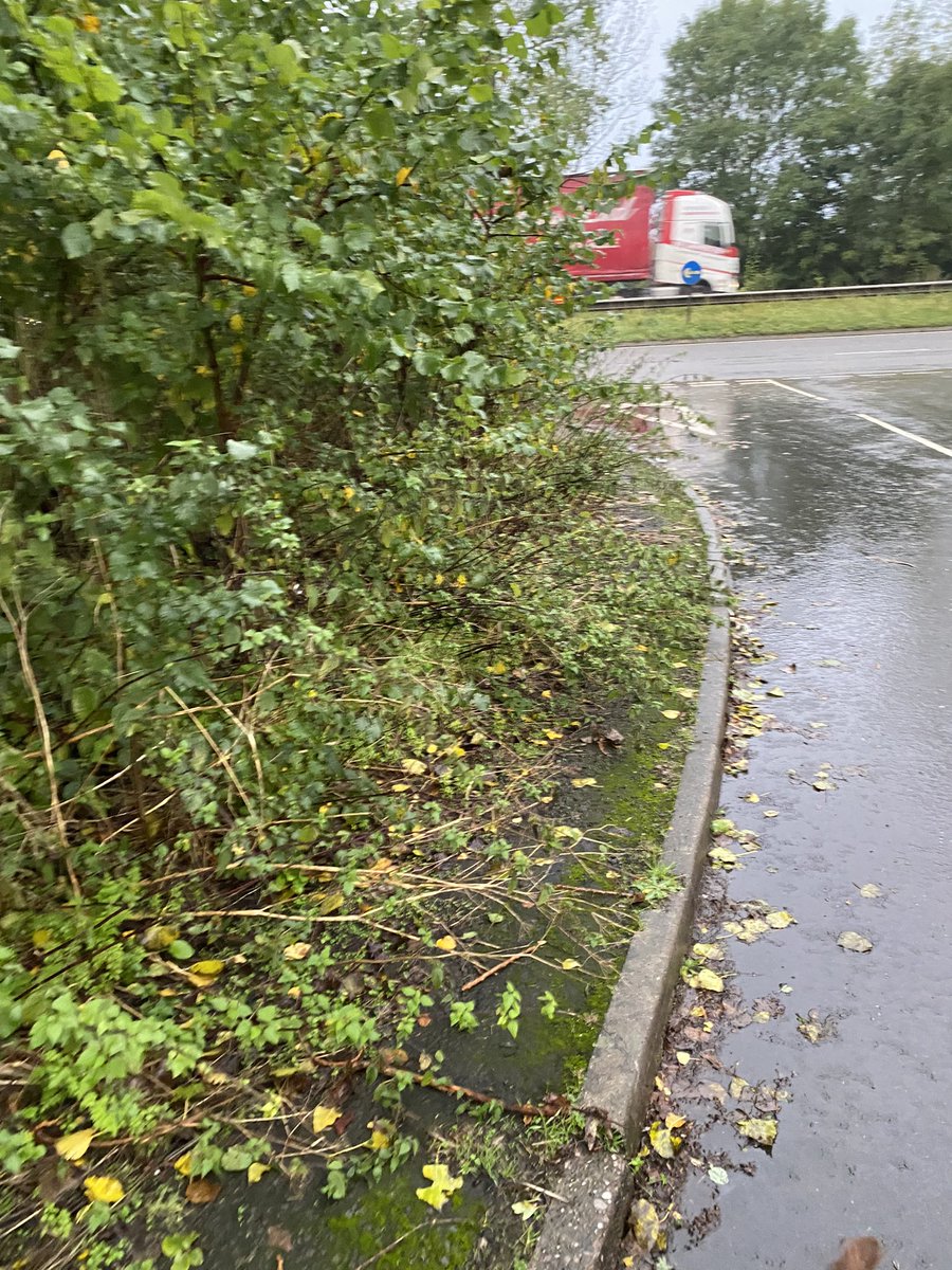 Shenton8's tweet photo. @Warwickshire_CC  @WarksHighways would like to report the continuously dangerous over grown footpaths at the junction of Hall walk, Stonebridge Road and the A446 coleshill. Majorly over grown stingers and hedge row making pedestrians have to walk in the road to get by. https://t.co/v2ezR4CLHR