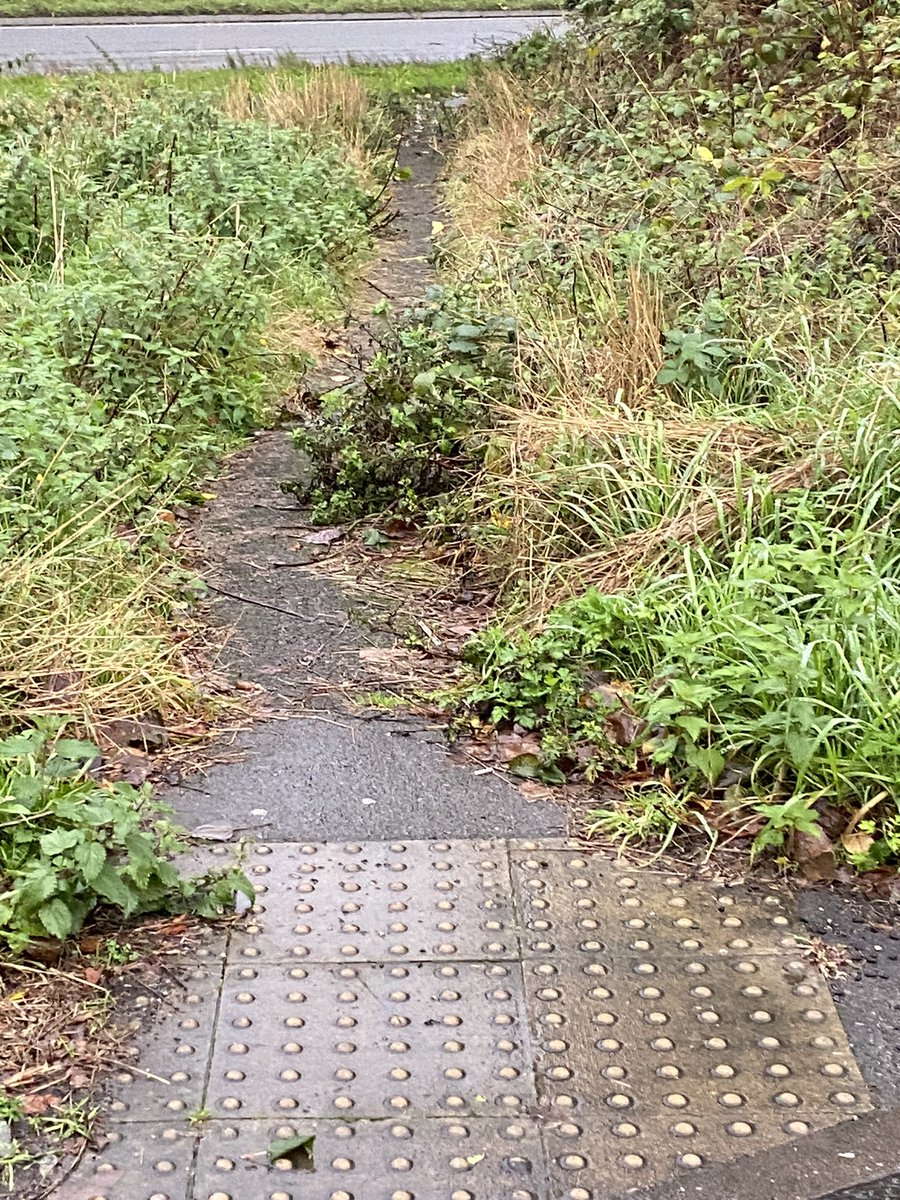 Shenton8's tweet photo. @Warwickshire_CC  @WarksHighways would like to report the continuously dangerous over grown footpaths at the junction of Hall walk, Stonebridge Road and the A446 coleshill. Majorly over grown stingers and hedge row making pedestrians have to walk in the road to get by. https://t.co/v2ezR4CLHR