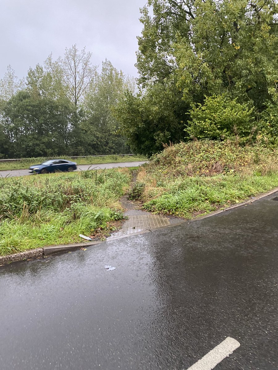 Shenton8's tweet photo. @Warwickshire_CC  @WarksHighways would like to report the continuously dangerous over grown footpaths at the junction of Hall walk, Stonebridge Road and the A446 coleshill. Majorly over grown stingers and hedge row making pedestrians have to walk in the road to get by. https://t.co/v2ezR4CLHR