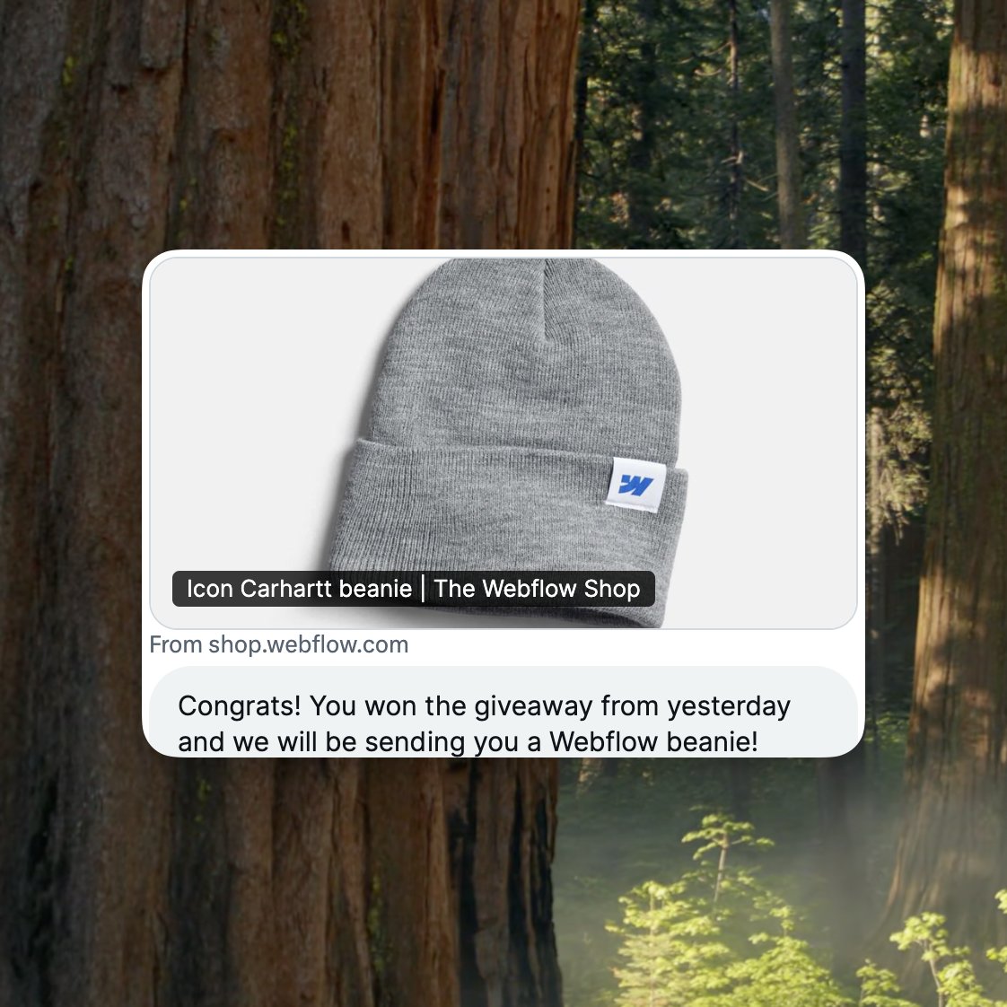 tonyseets's tweet photo. Woooo! A beanie! Just in time to keep my hairless noggin warm by the fireside on the upcoming #WebflowConf trip! π
#coasttoconf #rvthereyet π https://t.co/0vKp5TzSeu