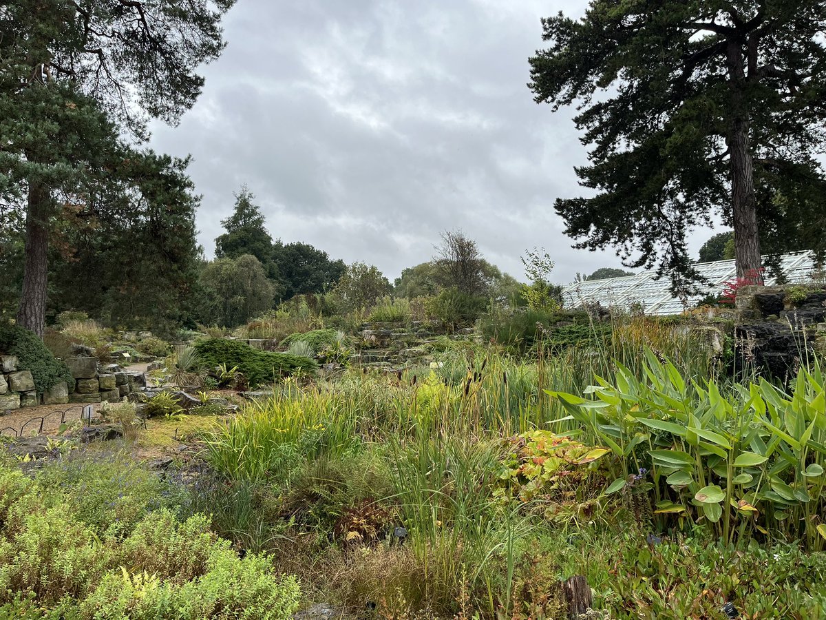 An inspirational day supporting <a href="/TRPGuild7/">Royal Parks Guild</a> at Kew Gardens. #TRPGdiscoveryday #loveparks