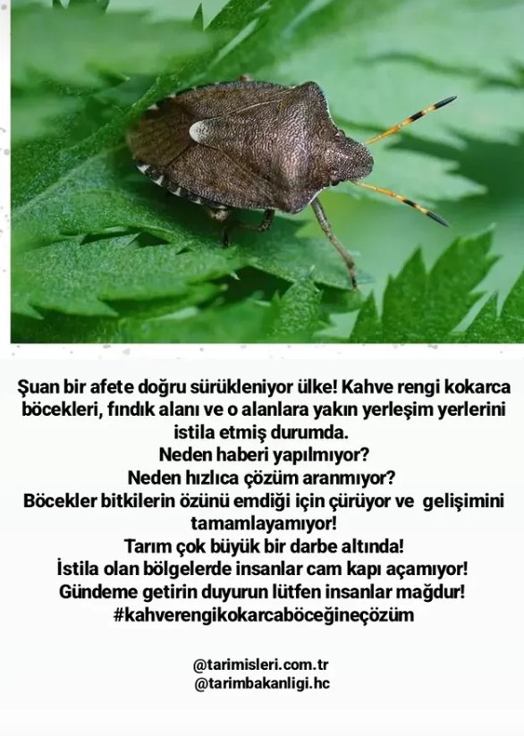 glsnasl's tweet photo. https://t.co/ieCgpjeLck