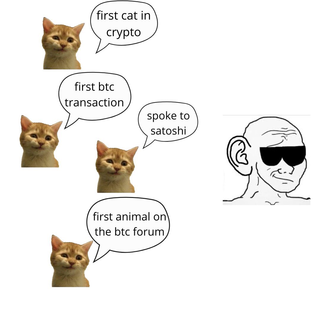 <a href="/siriuscatcto/">Sirius</a> Hearing $sirius things🤝💜