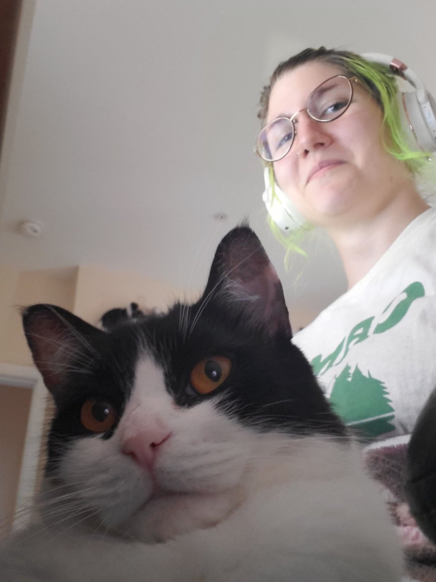 morgueline tweet media