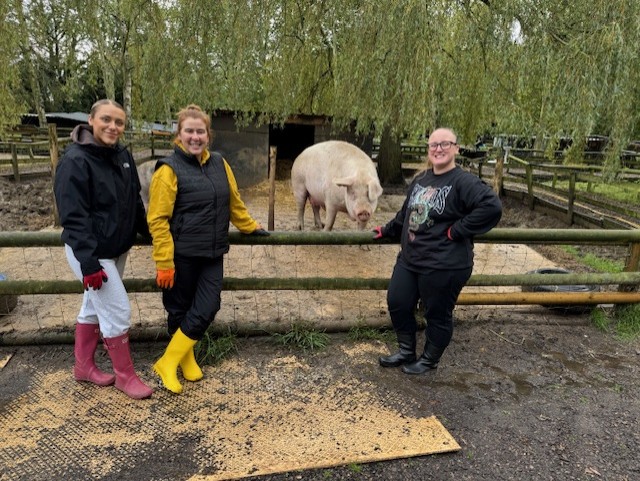 curlytailspigs's tweet photo. A special thank you to 2 teams from Network Rail who give their community charity days to us. Laura, Nat &amp; Ria who also raised £188 from a bake/dress down day and Donna Jackson and her team. Both teams worked so hard and give 100% working here. You are all amazing, thank you x https://t.co/74BYOPQ6CE